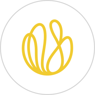 Blossom Capital logo