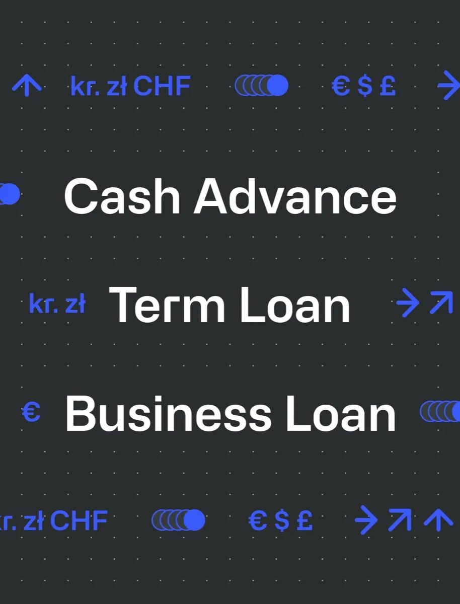 Introducing Term Loans and Business Loans