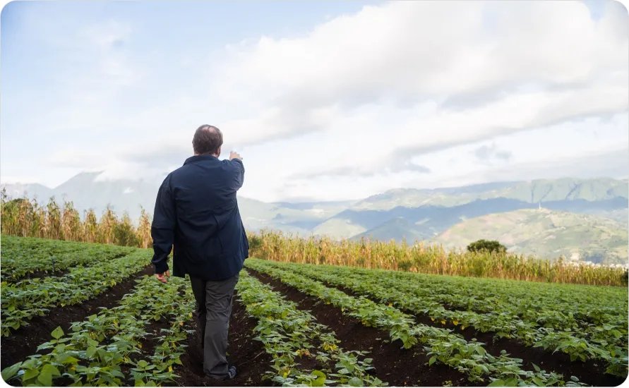 Picture of a man in field